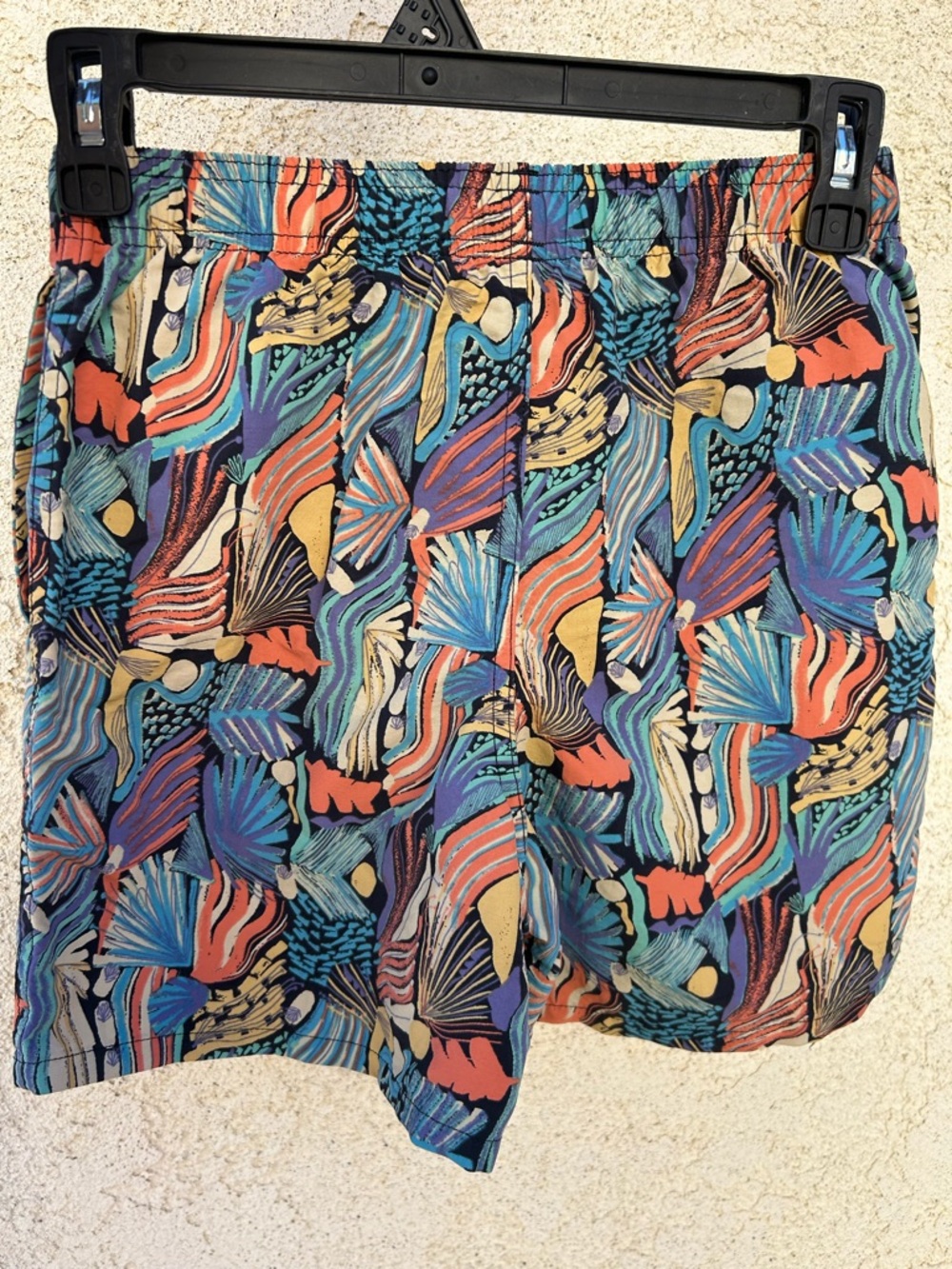 Patagonia Multi-Color Abstract Print Women’s Shorts